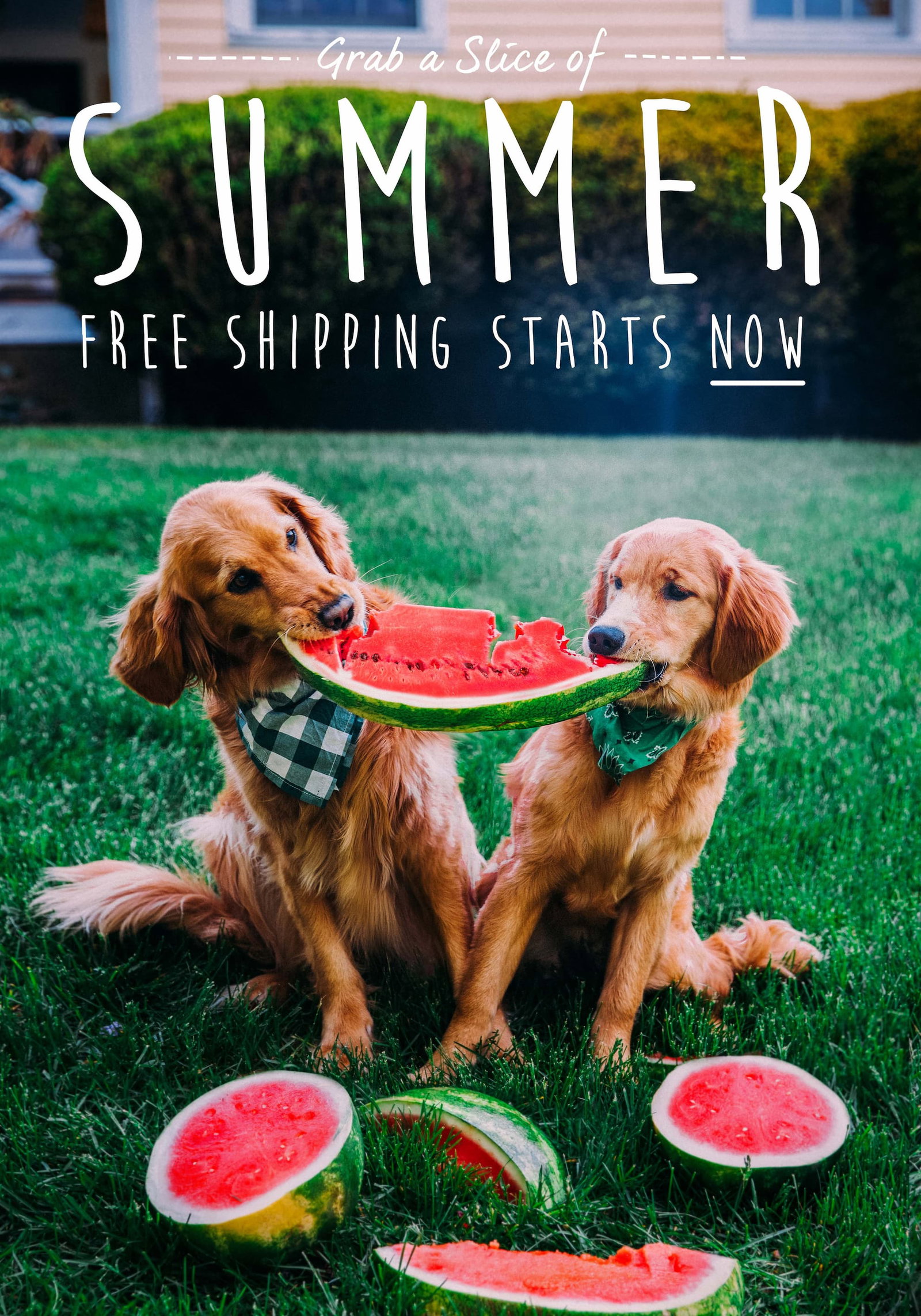 Free Shipping Starts Now