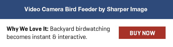 Video Camera Bird Feeder by Sharper Image