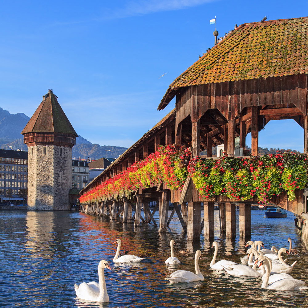 Lucerne