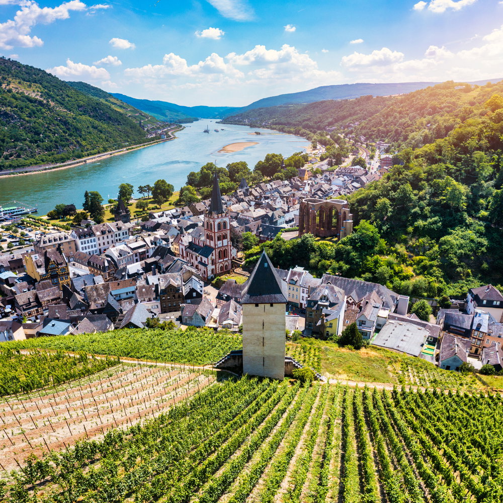 Rhine