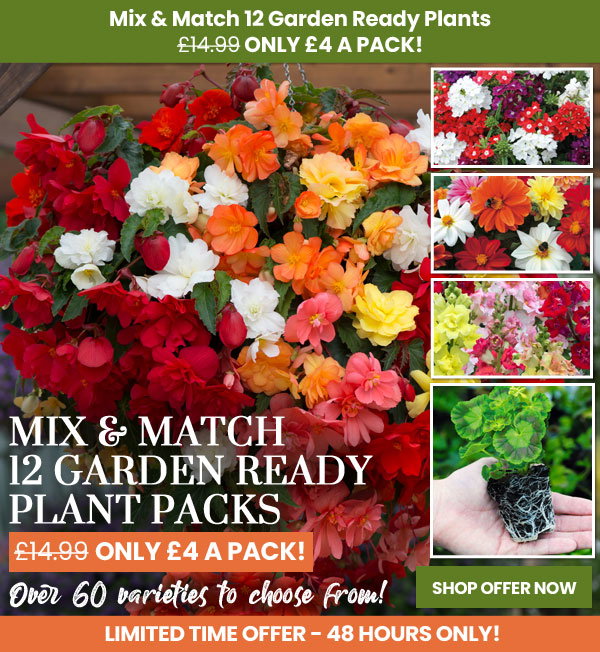 Garden Ready Mix & Match