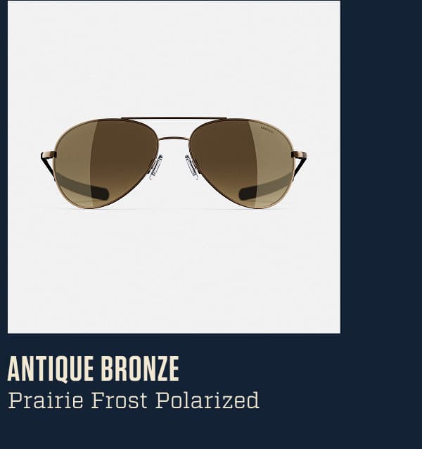 Antique Bronze