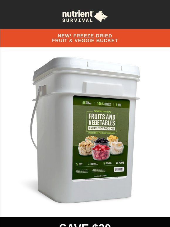 🌽 🍓 NEW!! FRUIT & VEGGIE BUCKET!!!