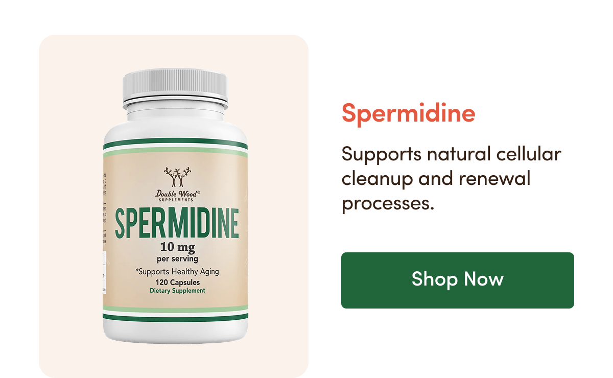 SPERMIDINE
