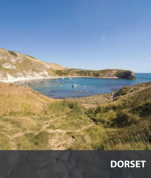 Dorset