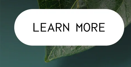 LEARN MORE