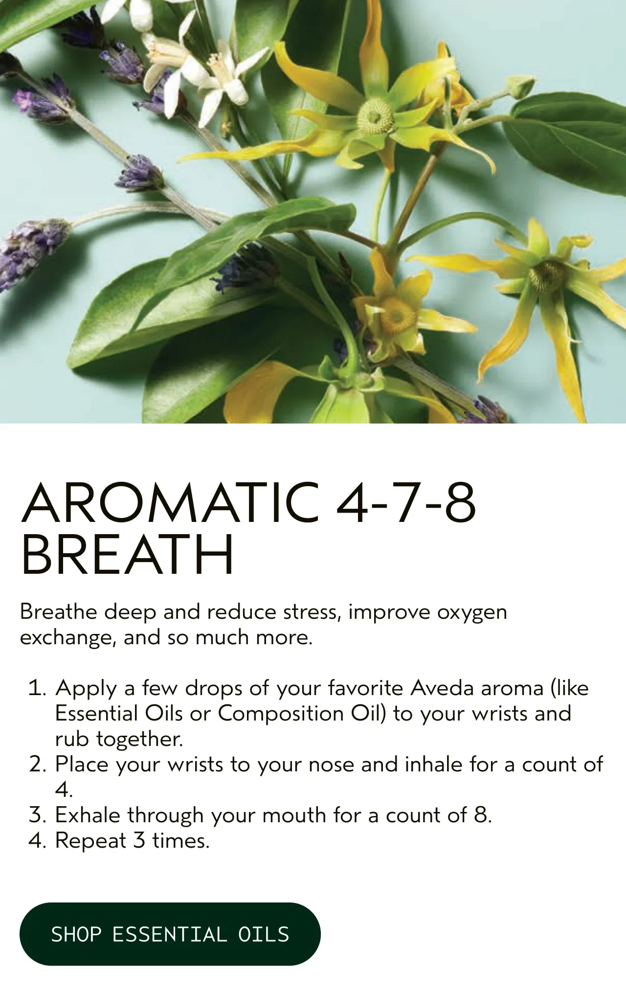 AROMATIC 4-7-8 BREATH Breathe deep and reduce stress, improve oxygen exchange, and so much more. 1. Apply a few drops of your favorite Aveda aroma like Essential Oils or Composition Oil to your wrists and rub together. 2. Place your wrists to your nose and inhale for a count of 4. 3. Exhale through your mouth for a count of 8. 4. Repeat 3 times. SHOP ESSENTIAL OILS