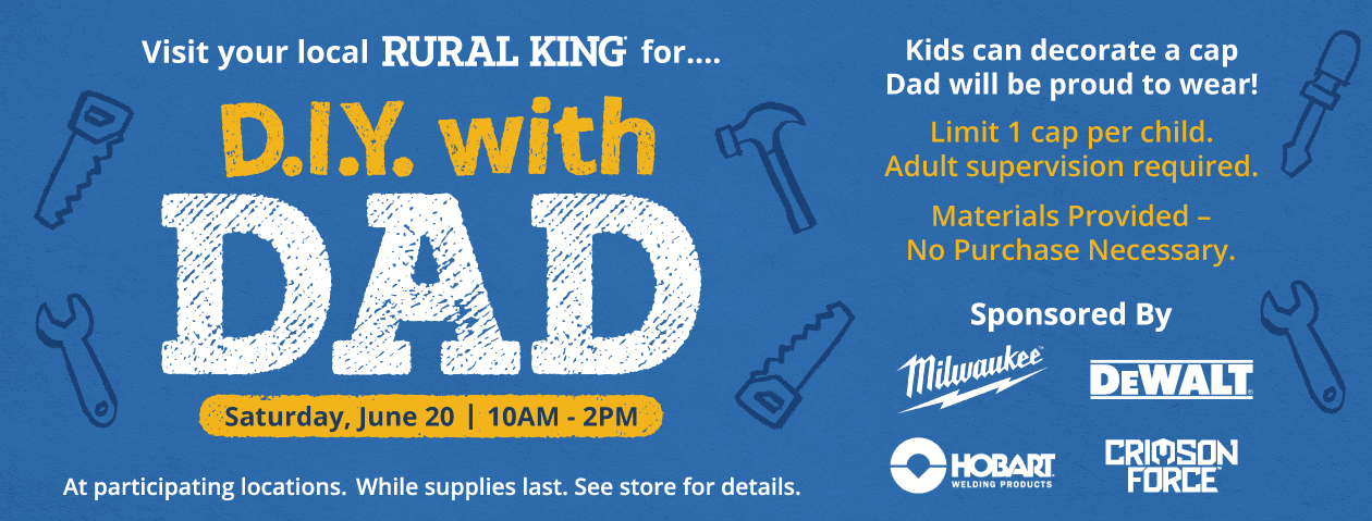 DIY W DAD