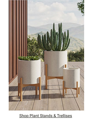 Shop Plants Stands & Trellises >