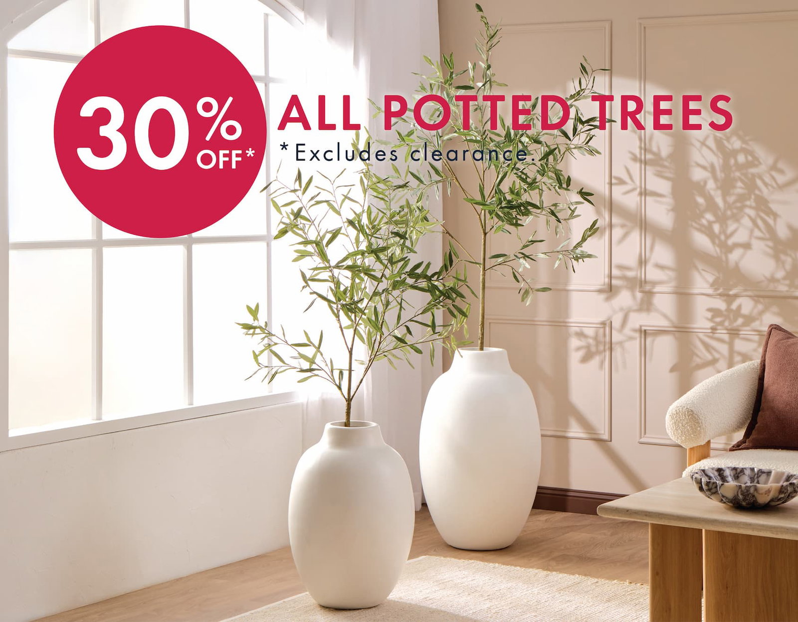 Potted Trees Sale