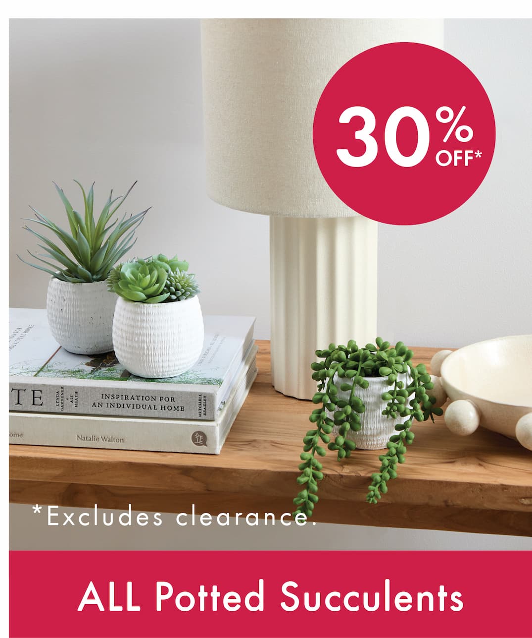Potted Succulents Sale
