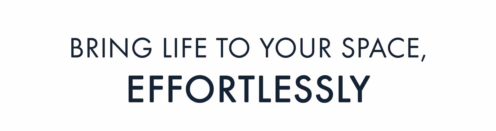 Bring Life To Your Space