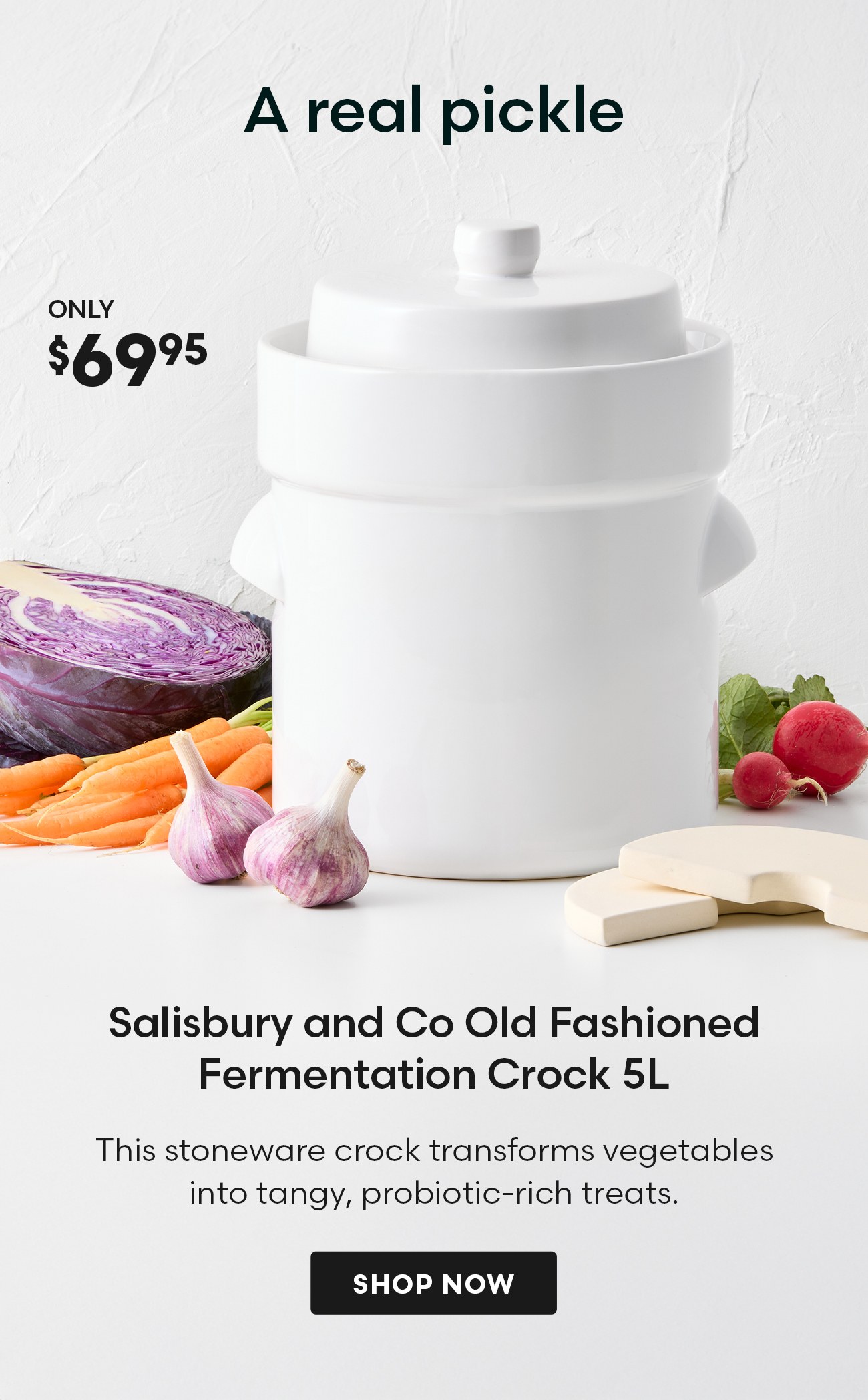 Salisbury and Co Old Fashioned Fermentation Crock 5L