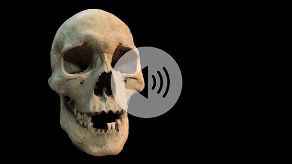 Click to listen