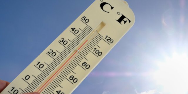 Canicule : où trouver des zones de répit