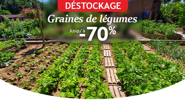 Déstockage jusqu’à -70% : graines de légumes !