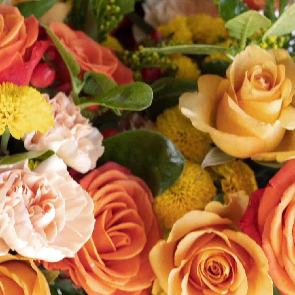 Image of Sunkist Orange DIY Flower Kit