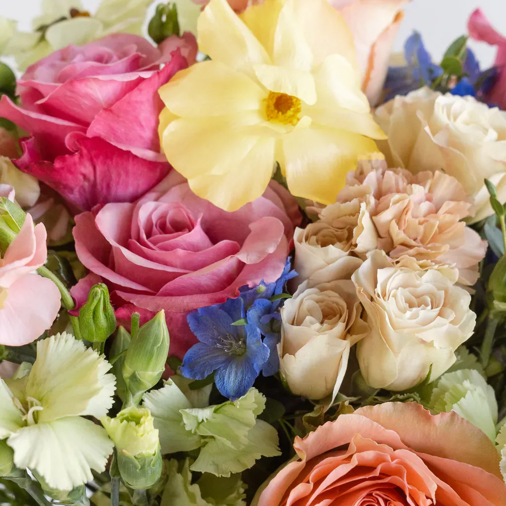 Image of Impressive Daydream DIY Flower Kit