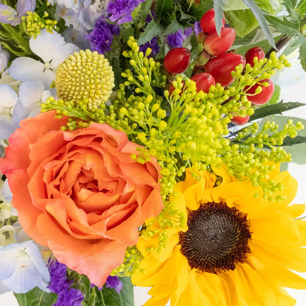 Image of Colorful Meadows DIY Flower Kit