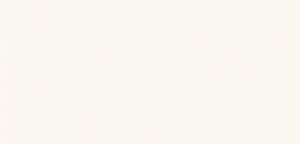 Quiksilver X Pacifico Collection Logo GIF