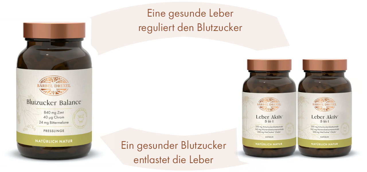 Gesunde Leber reguliert Blutzucker, stabiler Blutzucker entlastet die Leber