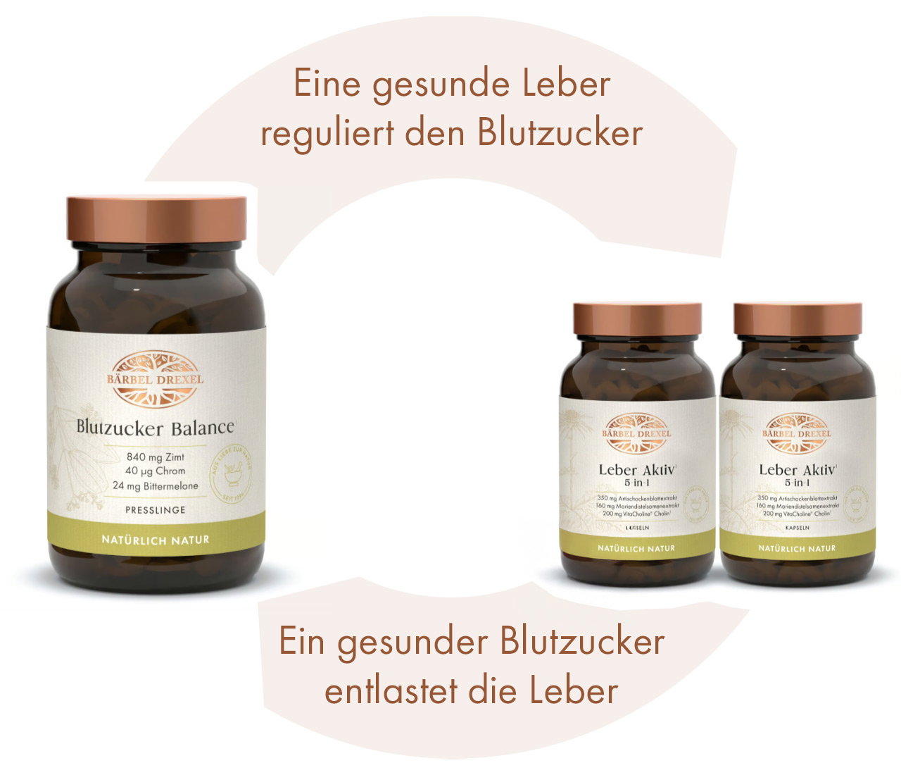 Gesunde Leber reguliert Blutzucker, stabiler Blutzucker entlastet die Leber