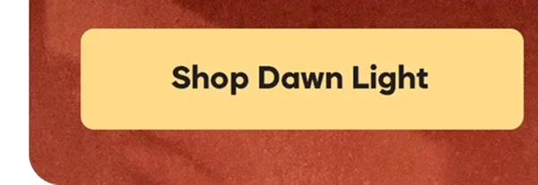 Shop Dawn Light