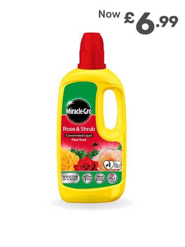 £6.99