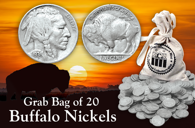 Grab bag of 20 Buffalo Nickels