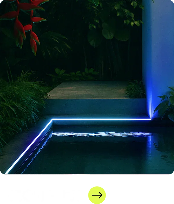 Neon Flex