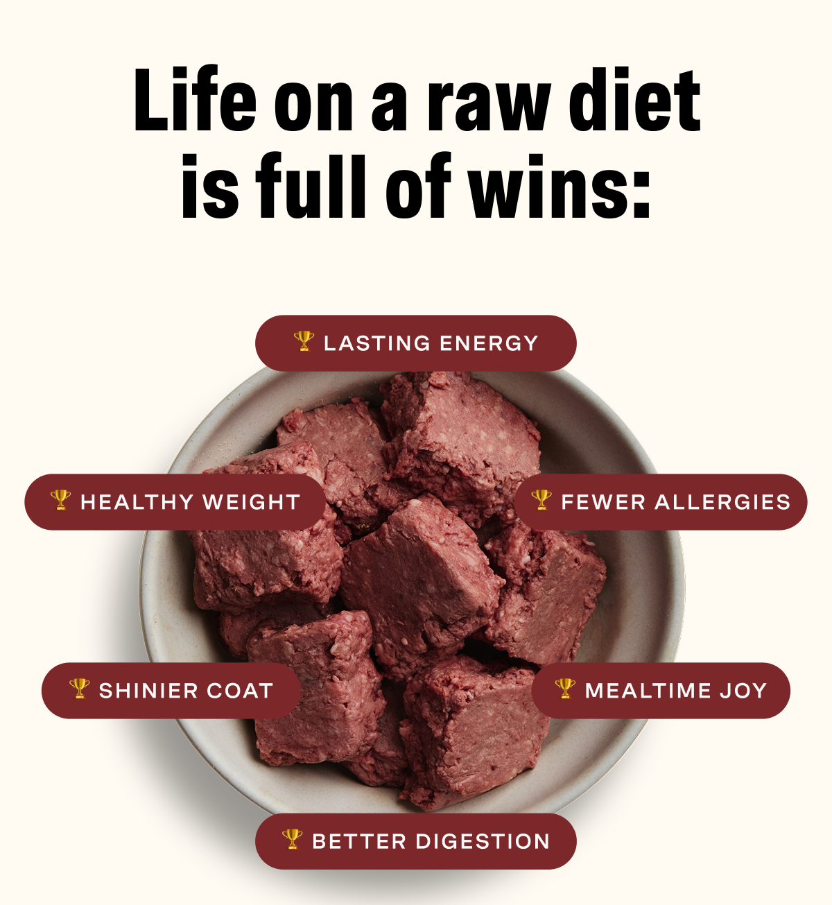Life on a raw diet is full of wins: lasting energy, healthy weight, fewer allergies, shinier coat, mealtime joy
