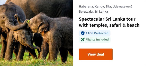 Spectacular Sri Lanka tour with temples, safari & beach