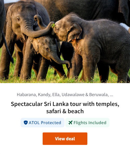 Spectacular Sri Lanka tour with temples, safari &amp; beach