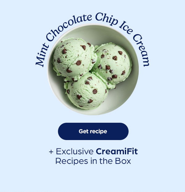 Mint Chocolate Chip Ice Cream