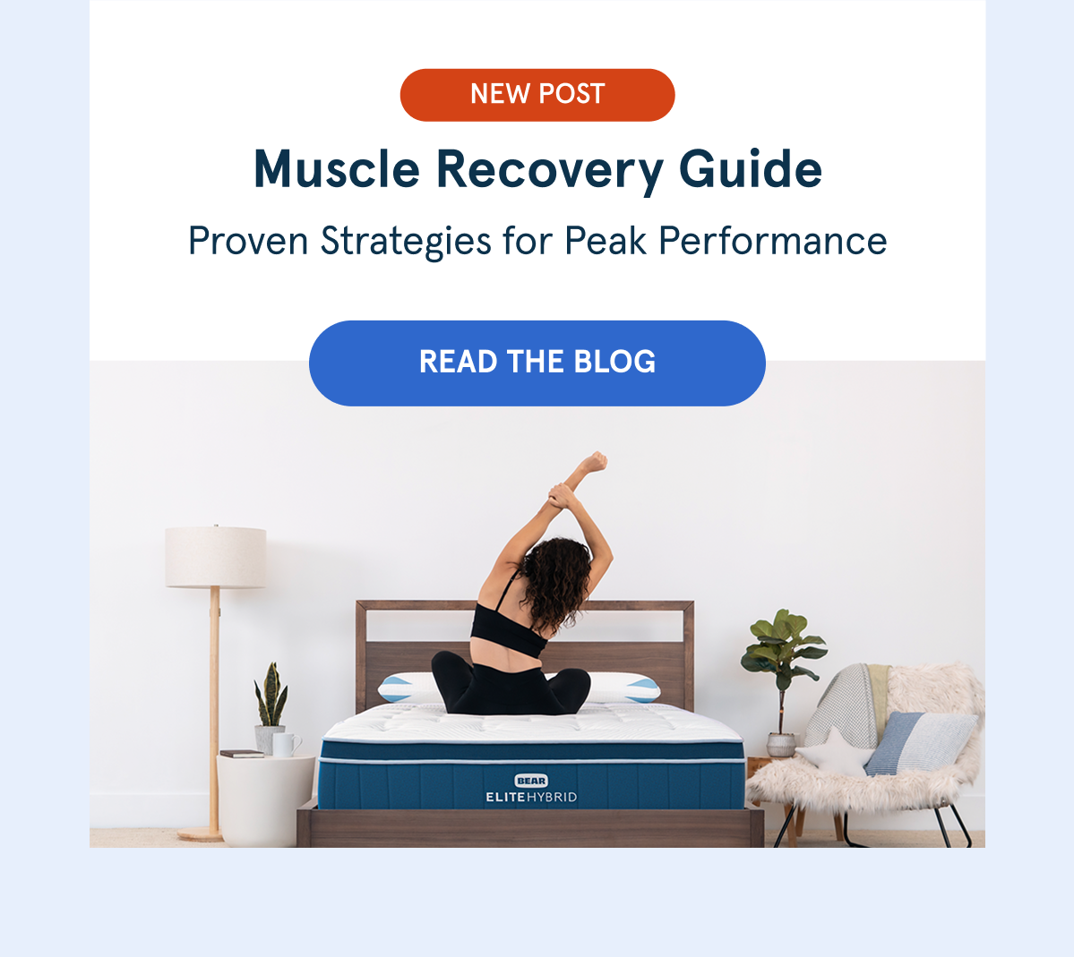 Muscle Recovery Guide