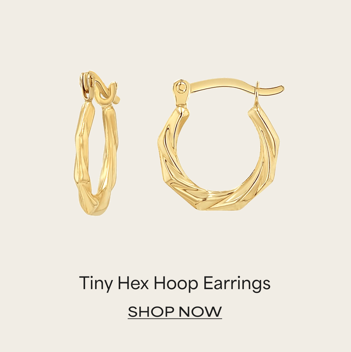 Tiny Hex Hoop Earrings