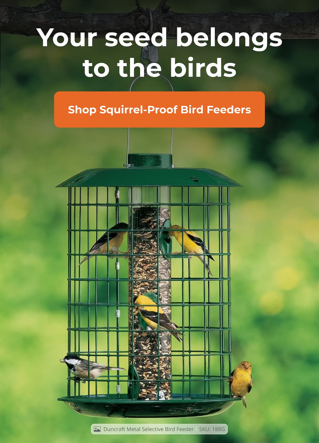 Your seed belongs to the birds