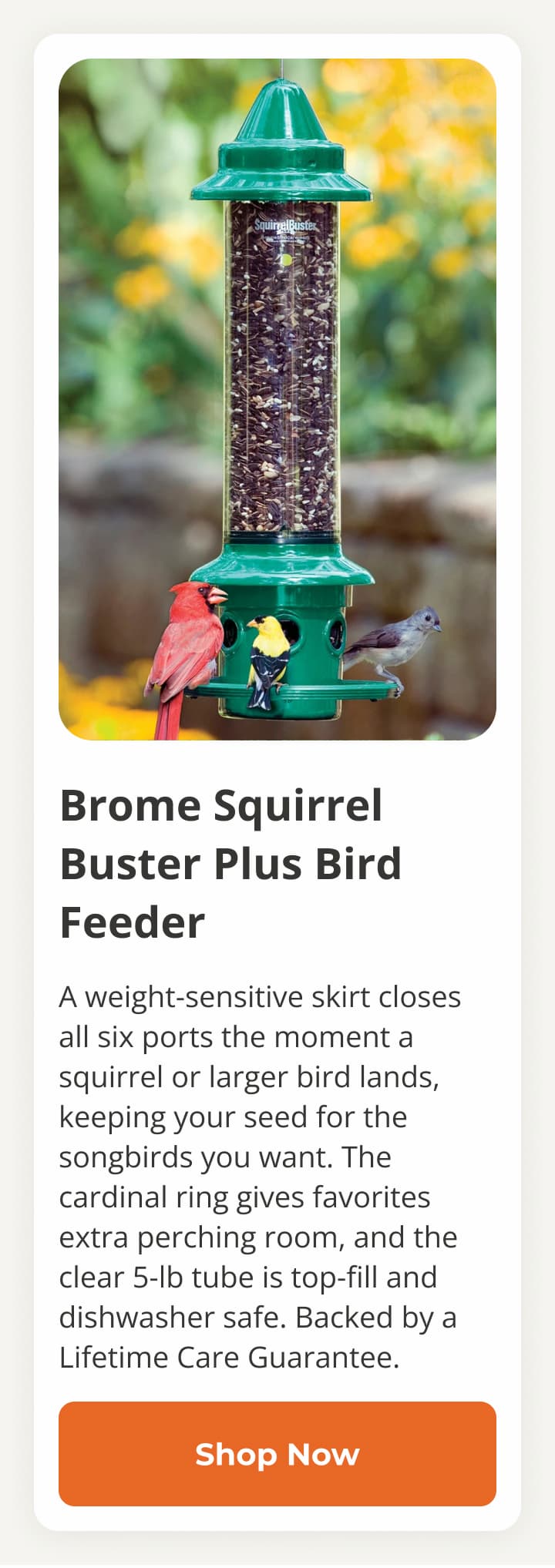 Duncraft Metal Selective Bird Feeder