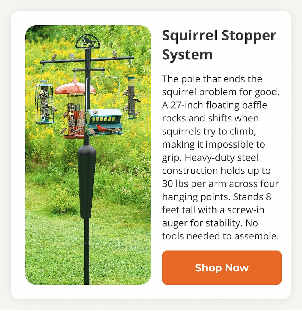Squirrel Stopper System