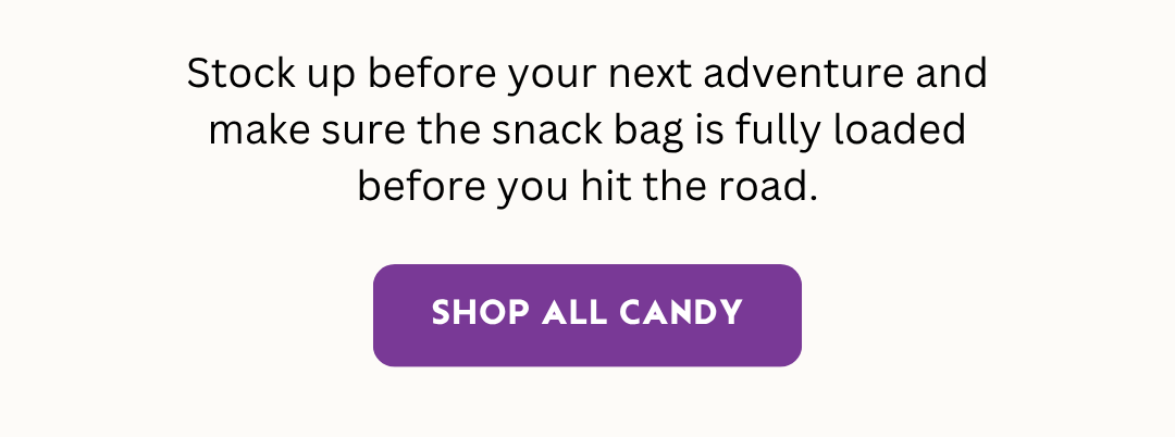 Road Trip Snack Essentials
