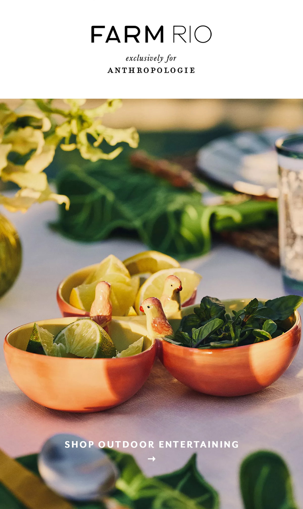 Farm Rio exclusively for Anthropologie. Shop outdoor entertainment.