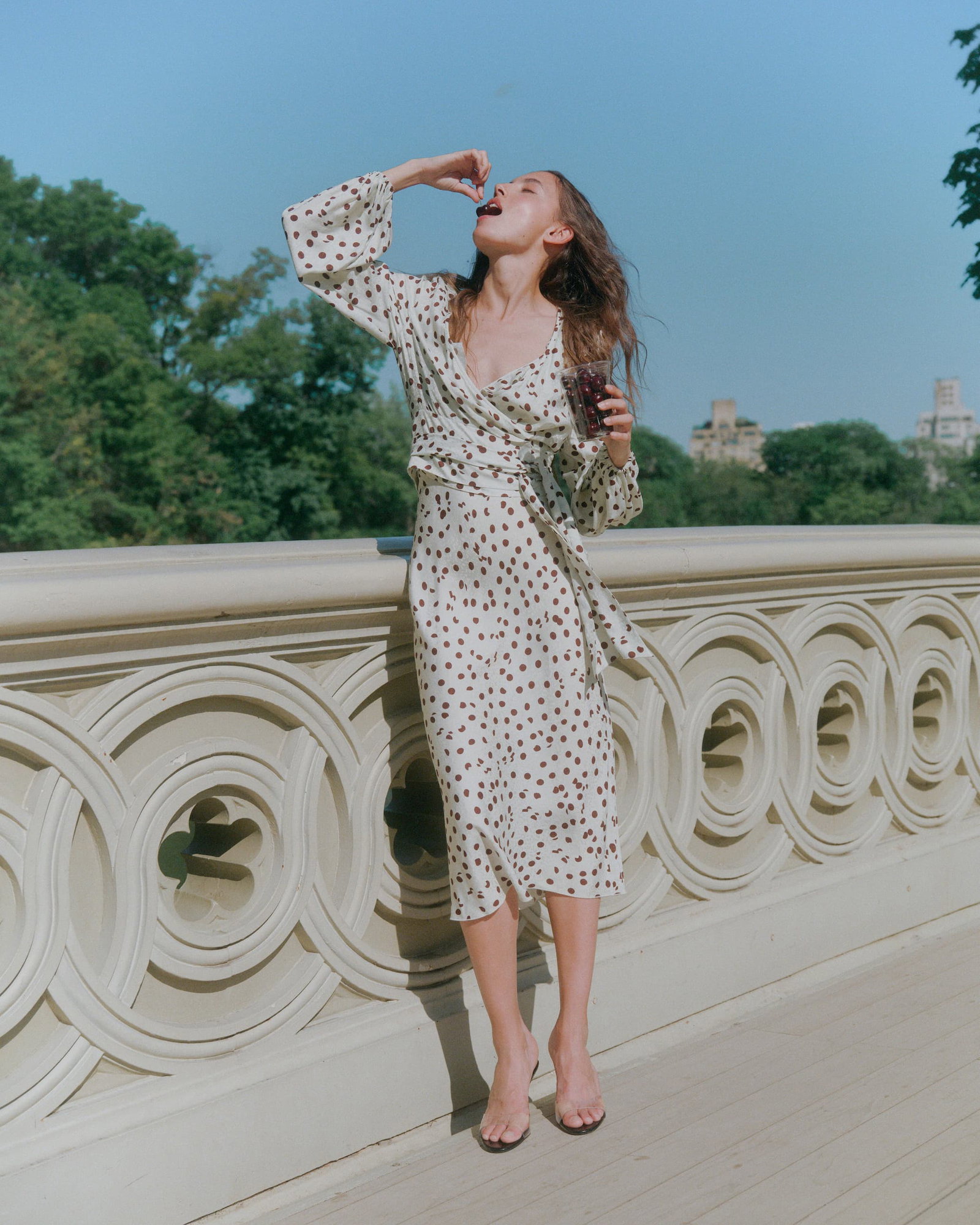 Shop DVF