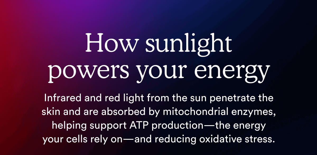 How sunlight powers your energy