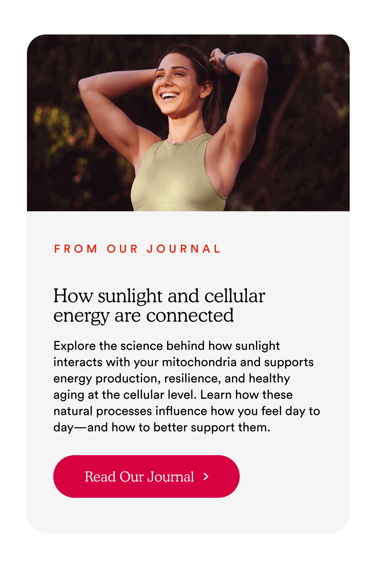 How sunlight and cellular energy are connected | Read Our Journal >