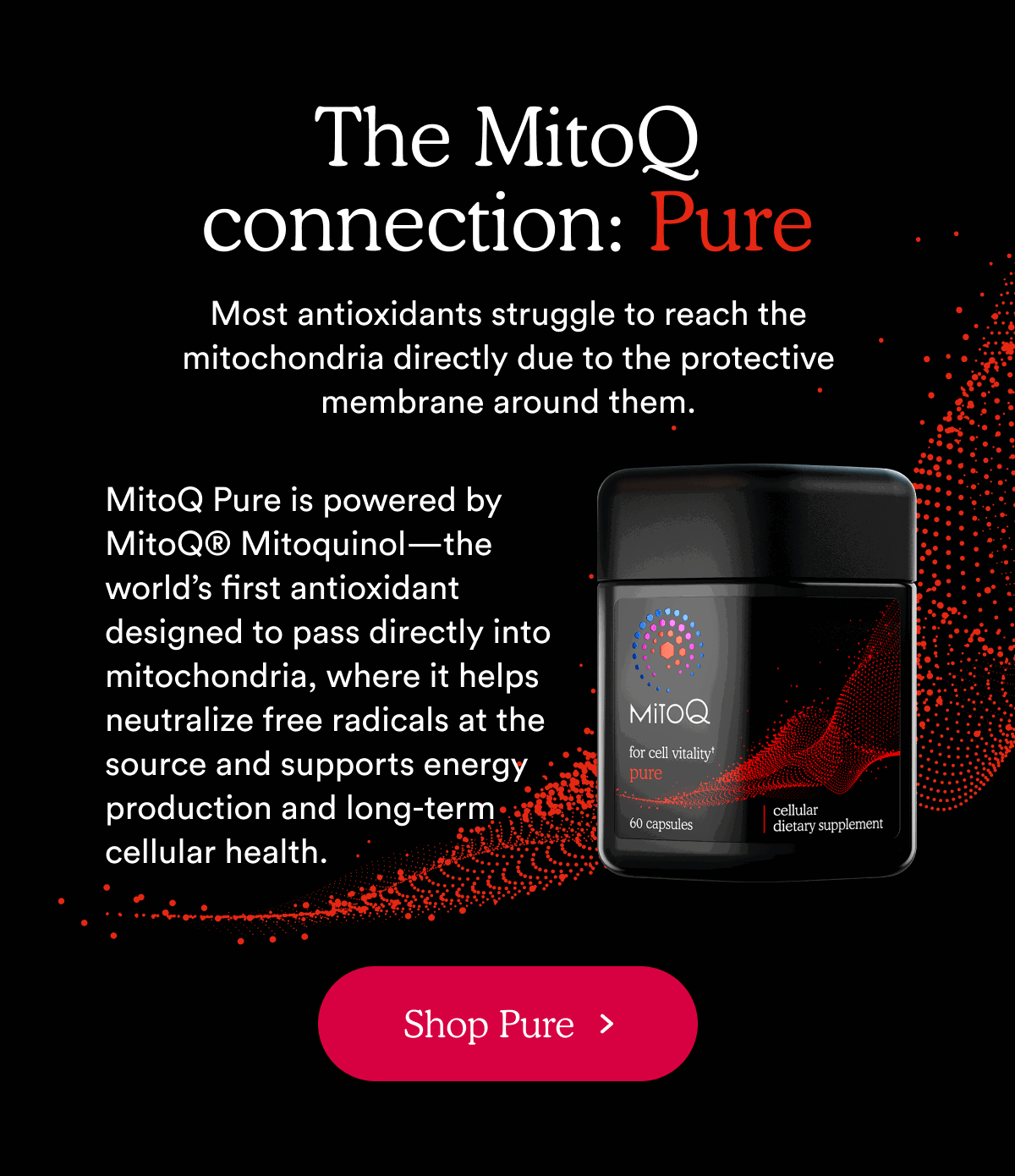The MitoQ connection: Pure Most antioxidants struggle to reach the mitochondria directly due to the protective membrane around them.