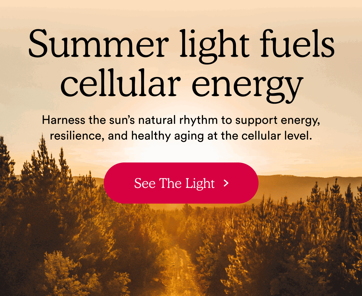 Summer light fuels cellular energy | See The Light