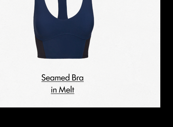 Seamed Bra in Melt