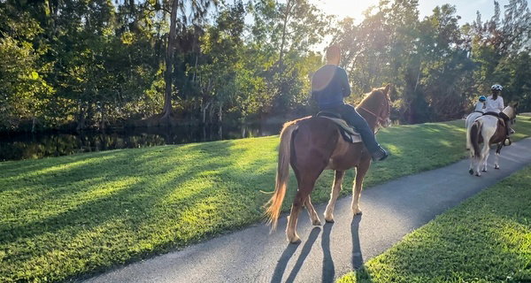 Up to 45% Off on Horse Back Riding at WB Family Ranch