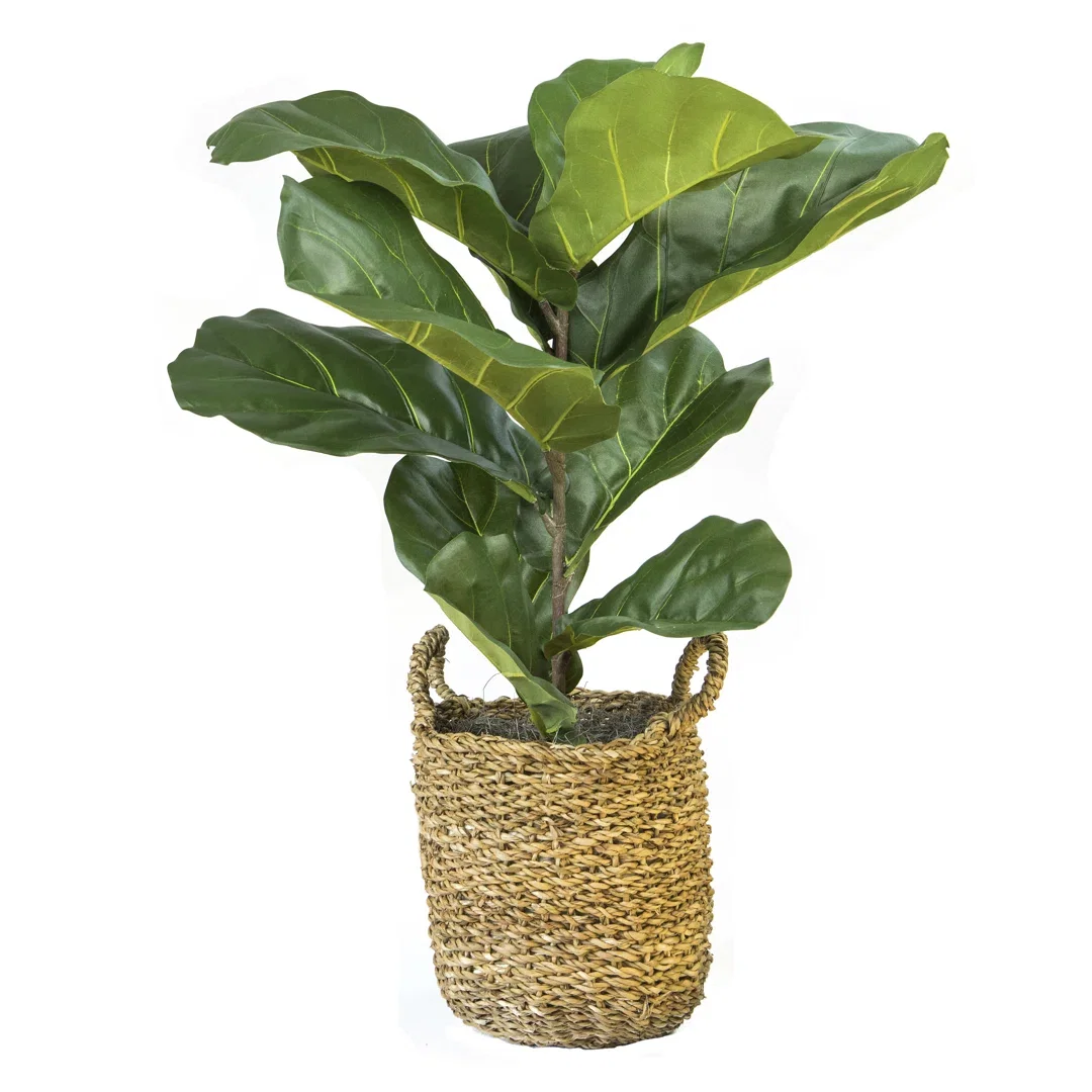 36" Artificial Fiddle Leaf Fig Plant in Basket