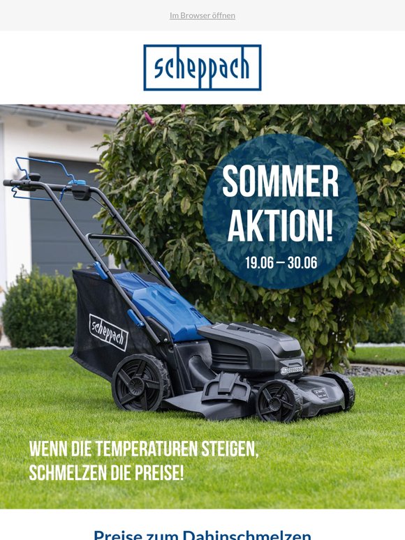 🌡️ Preise zum Dahinschmelzen